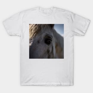 White Horse T-Shirt